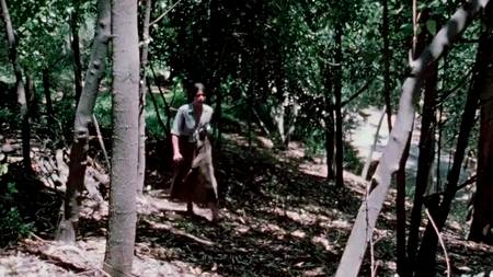 Little Sisters / Маленькие сестры