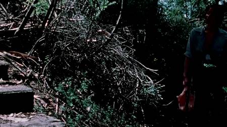 Little Sisters / Маленькие сестры