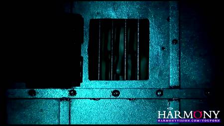 Госпожа удовлетворила все свои заветные фантазии