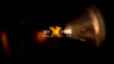 На морском берегу девку выперли в два ствола