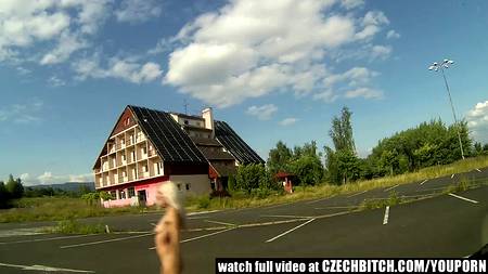 Водитель снял у обочины симпатичную блондиночку