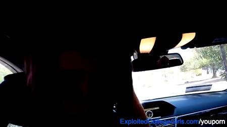 Попутчица оказалась шалавой