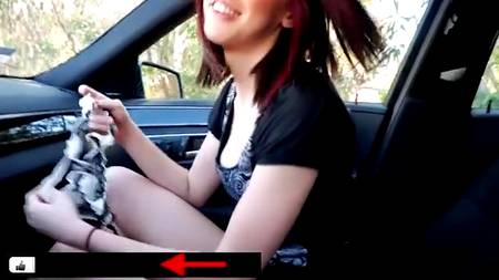 Попутчица оказалась шалавой