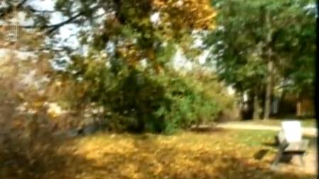 В парке так приятно заняться сексом