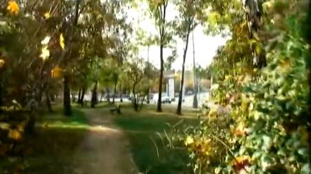 В парке так приятно заняться сексом