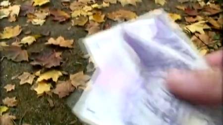 В парке так приятно заняться сексом