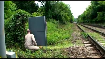 Нашли в лесу третьего партнера