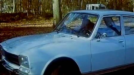 Возбуждающая сцена в автомобиле