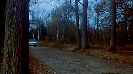 Возбуждающая сцена в автомобиле