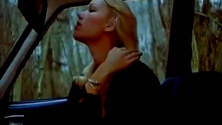 Возбуждающая сцена в автомобиле