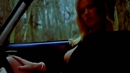 Возбуждающая сцена в автомобиле