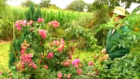 Городская заехала в деревню, чтобы познать все секреты секса