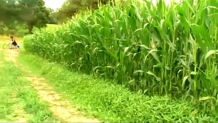 Городская заехала в деревню, чтобы познать все секреты секса