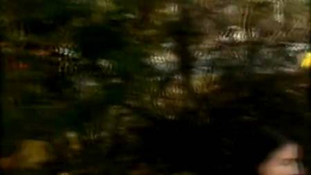 Шлюшка трахается в парке за деньги