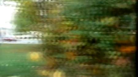 Шлюшка трахается в парке за деньги