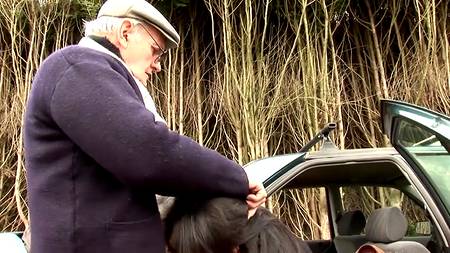 Двое прут прекрасную незнакомку