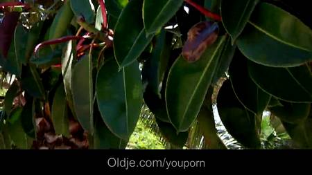 Юная красотка отдалась старику прямо в красивом скверике