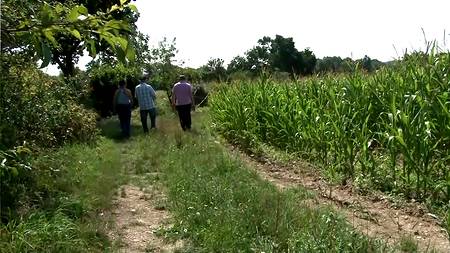 Хорошо потрахались на травке