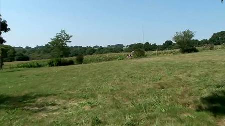 Хорошо потрахались на травке