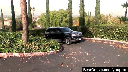 Половые отношения на зеленом газоне