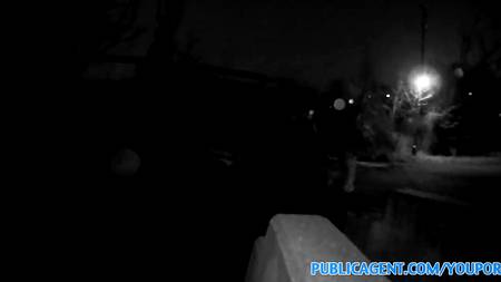 Брюнетка позанималась на улице сексом с незнакомцем