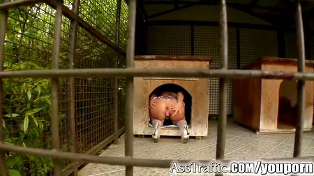 Костюмированная вечеринка закончилась для девки анальным сексом