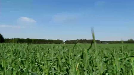 Бойфренд трахает на улице сексапильную подругу с классными сиськами