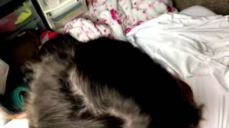 Пышногрудая подруга строчит утренний минет в домашней обстановке