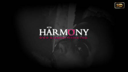 Молодая куколка объездила всеми дырками жилистые болты ухажеров