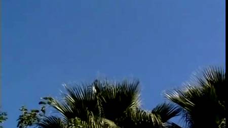 Сквирт и спермоглотание