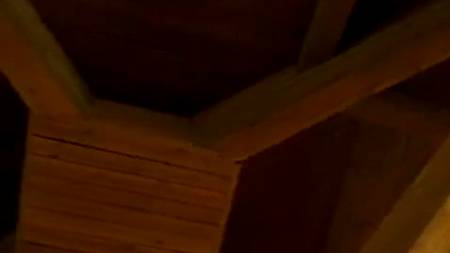 Две боярские дочки