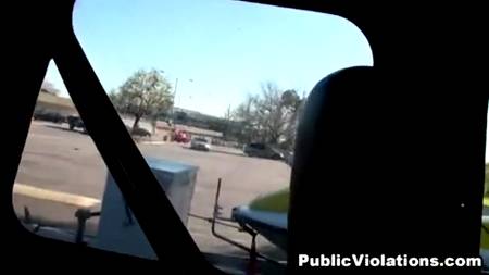 Жаркая попутчица