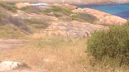 Отвязная групповуха на море