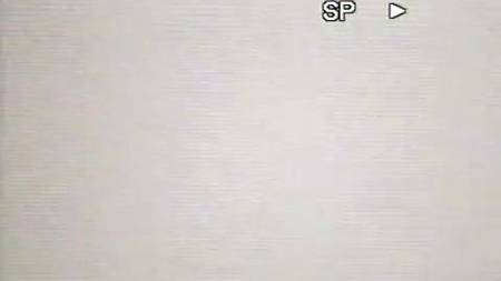 Молодожены снимают свой трах