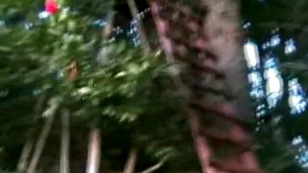 Привязанная Джейн