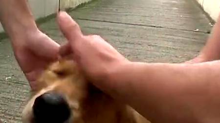 Трахнули телку на обочине дороги