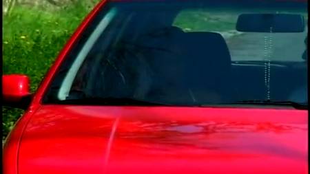 Проститутка сосет клиенту