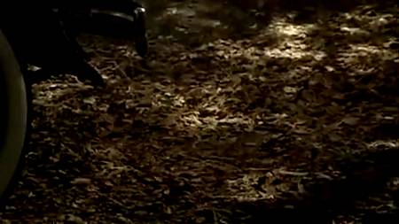 Негр прет сочную хозяйку в попку