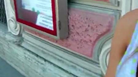 Какой-то чурка развел русскую на секс в кустах