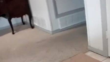 Девочка-чирлидер трахается