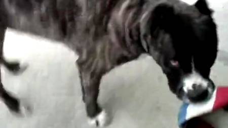 Девочка-чирлидер трахается