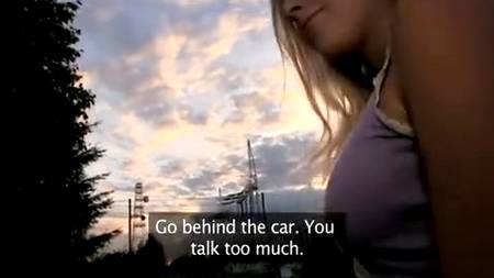 Жаркое порево в машине