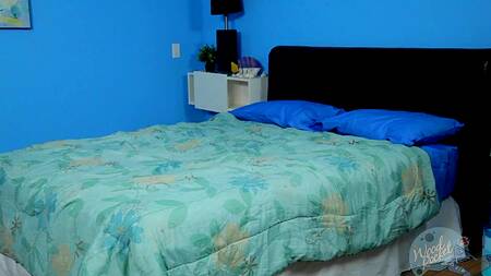 Озорная Сэнди смачно отсасывает хуй Губки Боба