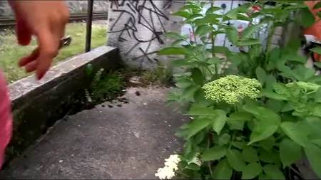 Два продюсера порют одну кандидатку