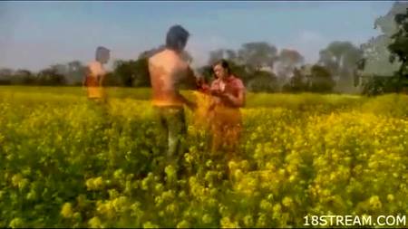 Деревенская парочка вышла в поле и начала развлекаться