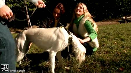 Две шлюшки по очереди подставляют анус под член партнера