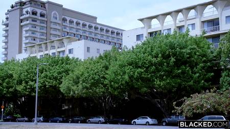 Накаченный негритос засадил член в жопу красивой белой сучке