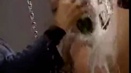 Фонтан шампанского из киски