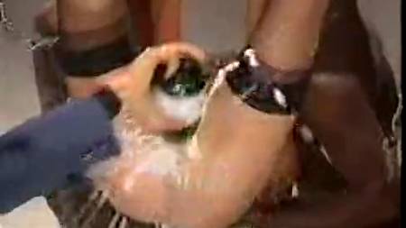 Фонтан шампанского из киски