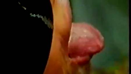 Залили телку спермой